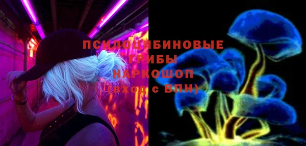 стаф Балахна