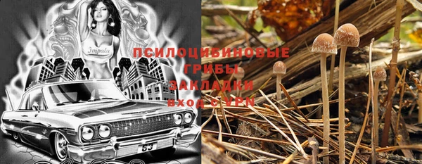 ешки Нефтекумск