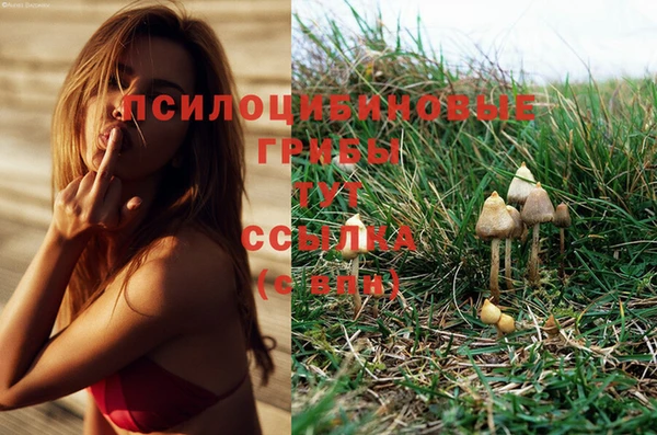 герыч Баксан