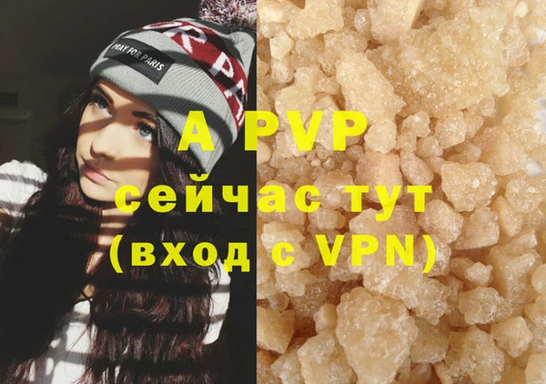 стаф Балахна