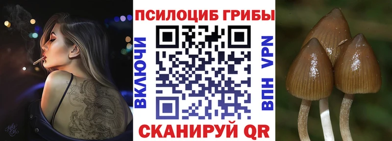 купить   Калуга  Галлюциногенные грибы мухоморы 